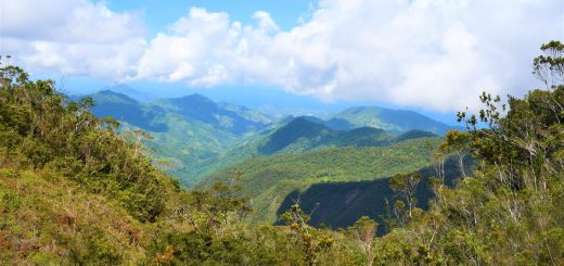 Davao Oriental’s Treasured Forests: A Tribute on International Day of Forests