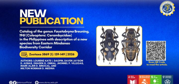 New beetle species discovered in Mindanao named in honor of Sen. Pia Cayetano